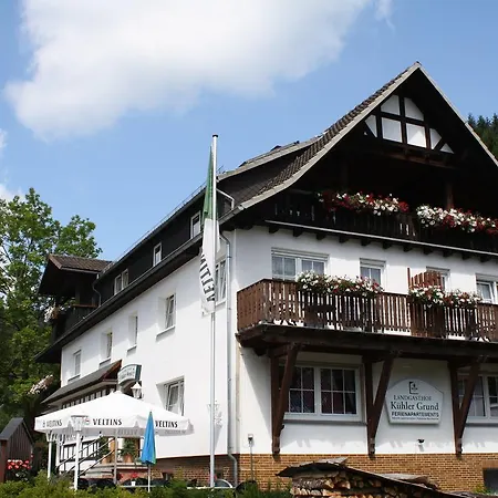Cozy In Titmaringhausen Near Willingen Ski Area Medebach